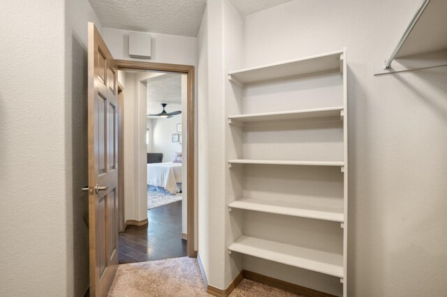 spacious closet featuring carpet