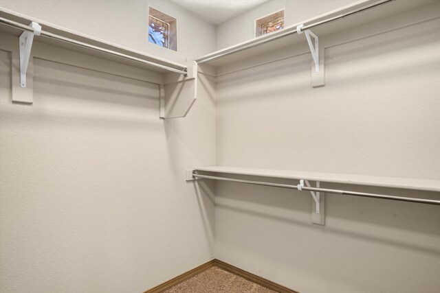 spacious closet with carpet flooring