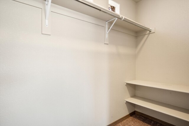 walk in closet featuring carpet floors