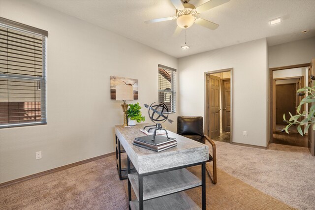 office with a ceiling fan, baseboards, and carpet flooring