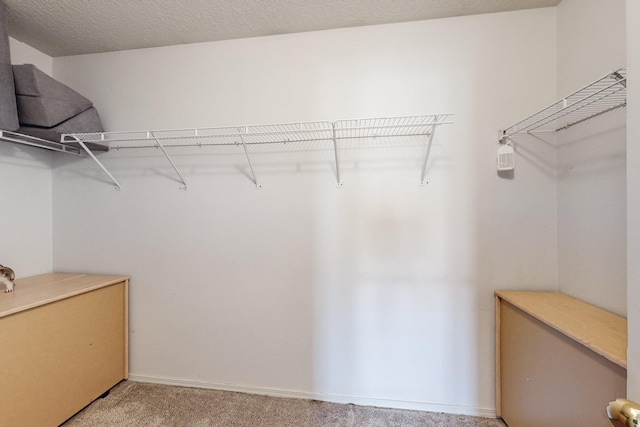 spacious closet with light carpet