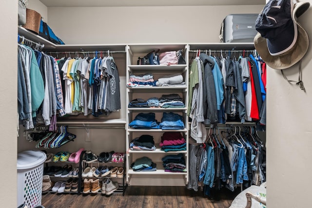 walk in closet featuring wood finished floors