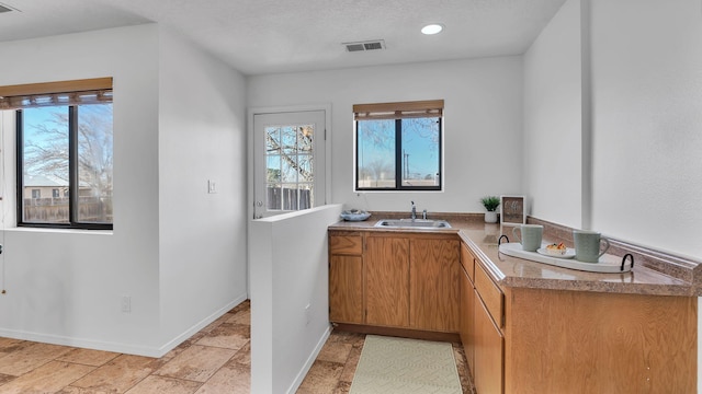 kitchen with a wealth of natural light, a sink, visible vents, and baseboards