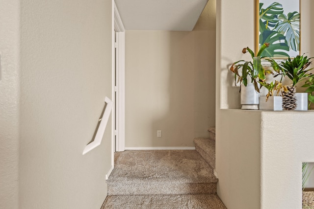 staircase with carpet flooring and baseboards