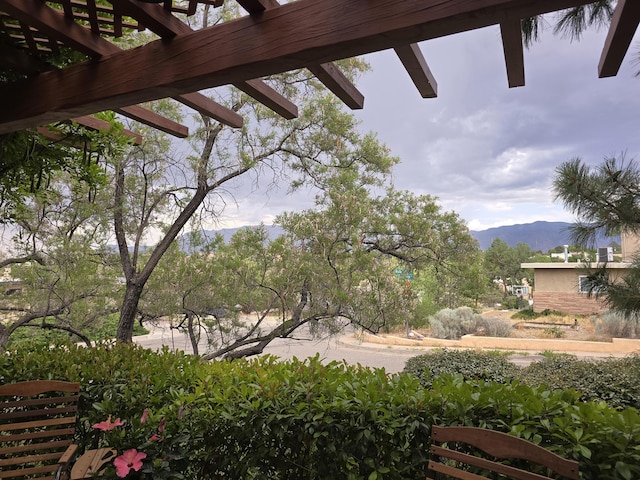 view of yard with a mountain view and a pergola