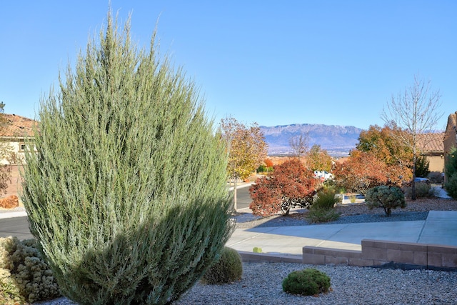 9316 Iron Creek Ln NW, Albuquerque, NM 87120 - view of yard with a mountain view