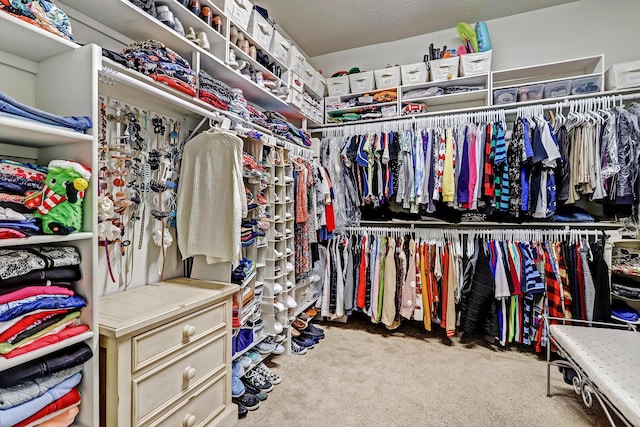 9316 Iron Creek Ln NW, Albuquerque, NM 87120 - spacious closet with carpet