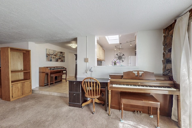 office space with light carpet, a skylight, and a textured ceiling