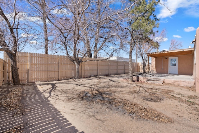 view of yard with a patio area and a fenced backyard