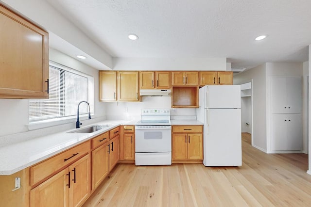 kitchen featuring white appliances, light wood-style floors, light countertops, under cabinet range hood, and a sink