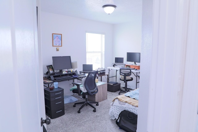 view of carpeted home office