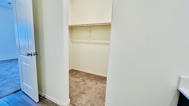 walk in closet featuring carpet