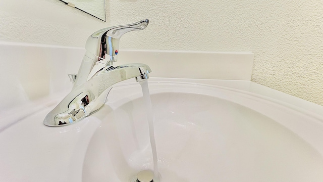 interior details featuring a sink