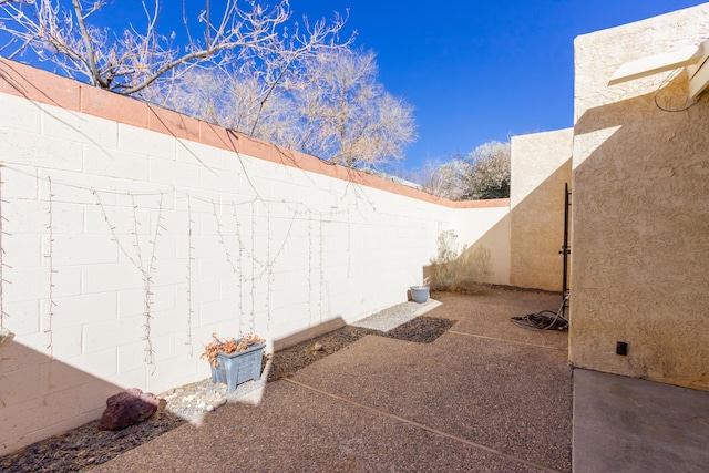 view of yard with a patio area and a fenced backyard