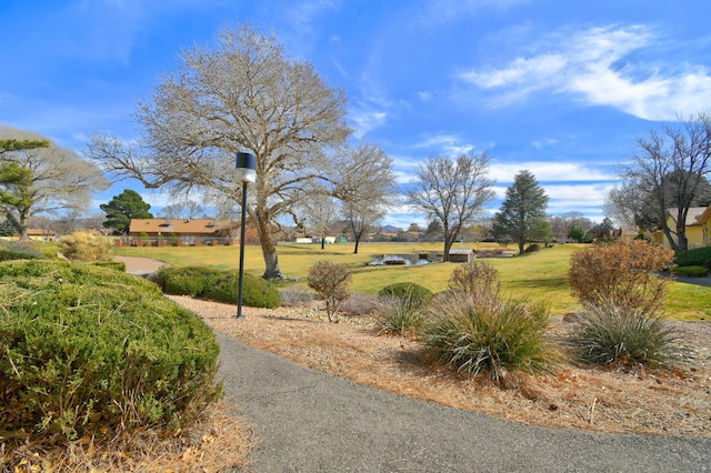 view of yard featuring an outbuilding and a water view