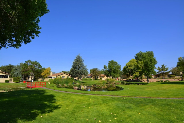 view of property's community featuring a water view and a lawn