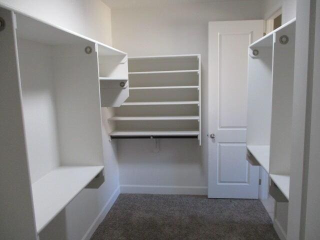 walk in closet with carpet flooring