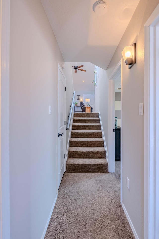 stairway featuring carpet floors, a ceiling fan, and baseboards