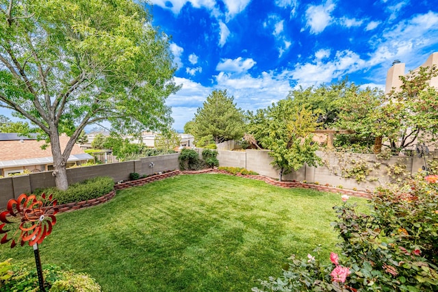 view of yard with a fenced backyard