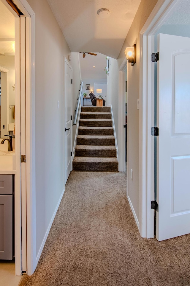 staircase featuring carpet and baseboards