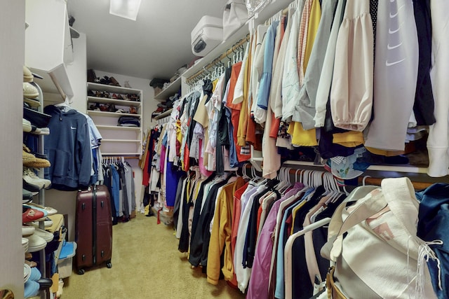 spacious closet with carpet flooring