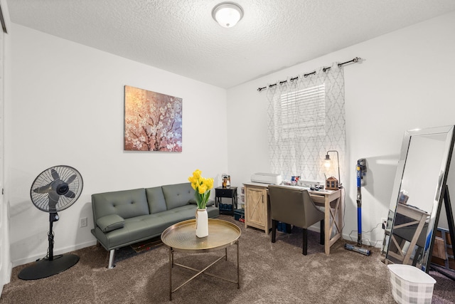 office with carpet floors, baseboards, and a textured ceiling