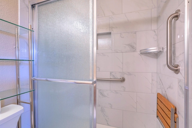 full bathroom featuring a shower stall and toilet