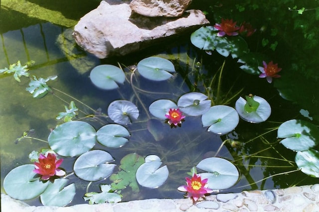 exterior details featuring a small pond