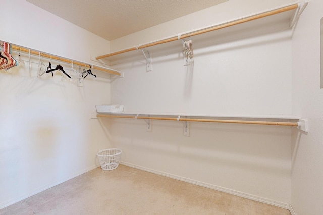 11827 Native Dancer Rd SE, Albuquerque, NM 87123 - photo 33