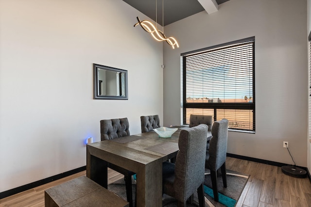 dining room with baseboards and wood finished floors