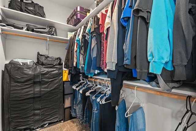 spacious closet with carpet