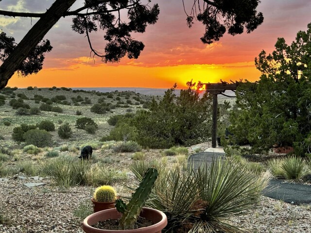 7 Calle Cholla, Placitas, NM 87043 - view of yard at dusk