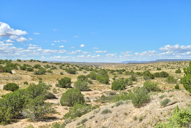 view of local wilderness featuring a rural view