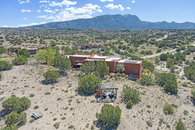 exterior space featuring a mountain view