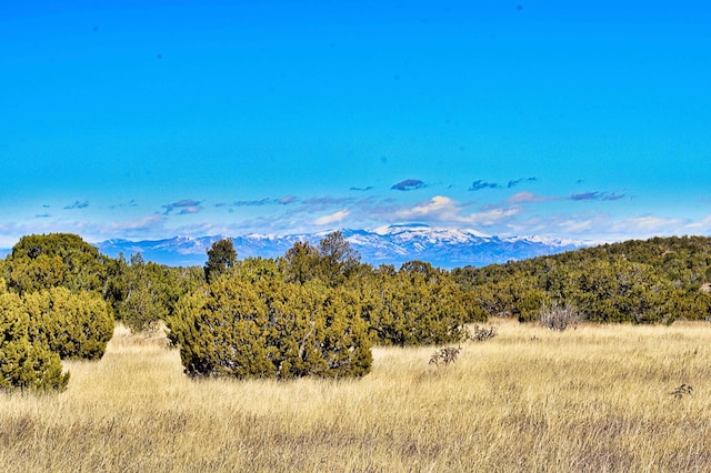 Listing photo 2 for 37 Via Entrada, Sandia Park NM 87047