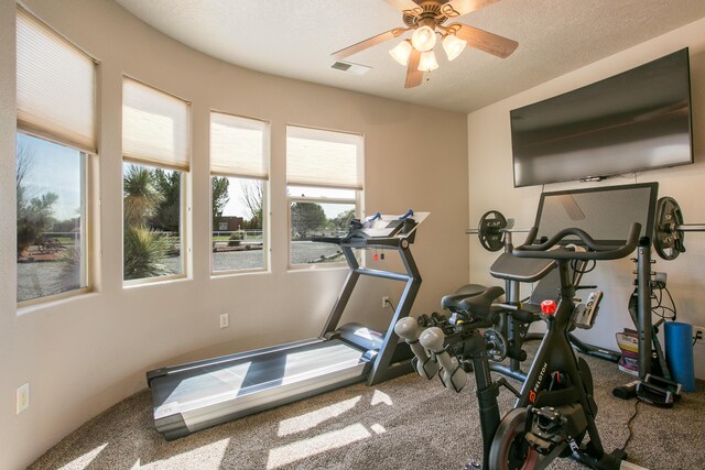 6908 Roble Blanco Dr SW, Albuquerque, NM 87105 - photo 23