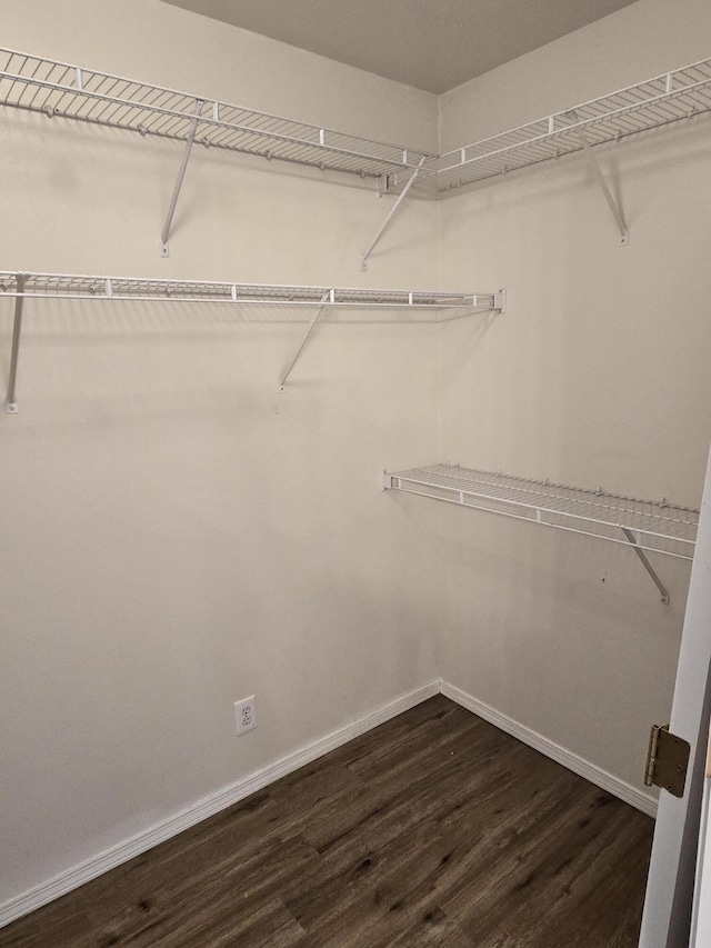 walk in closet with dark wood-type flooring