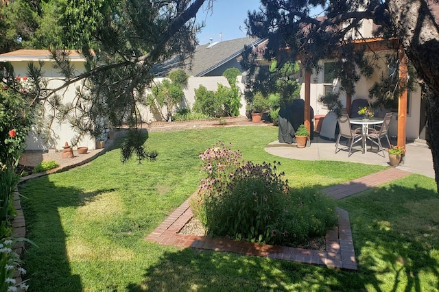 view of yard featuring a patio