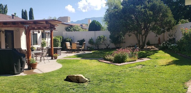 view of yard featuring an outbuilding, outdoor dining area, a patio, a storage unit, and a fenced backyard