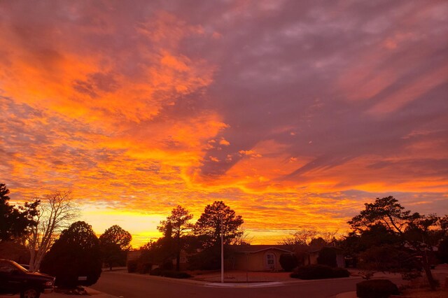 view of nature at dusk