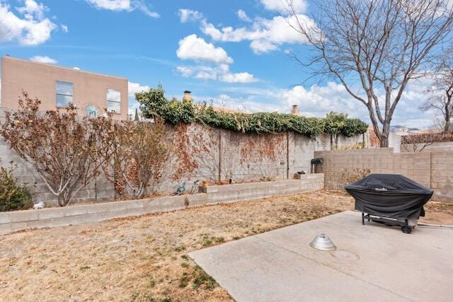 view of yard featuring a patio and fence