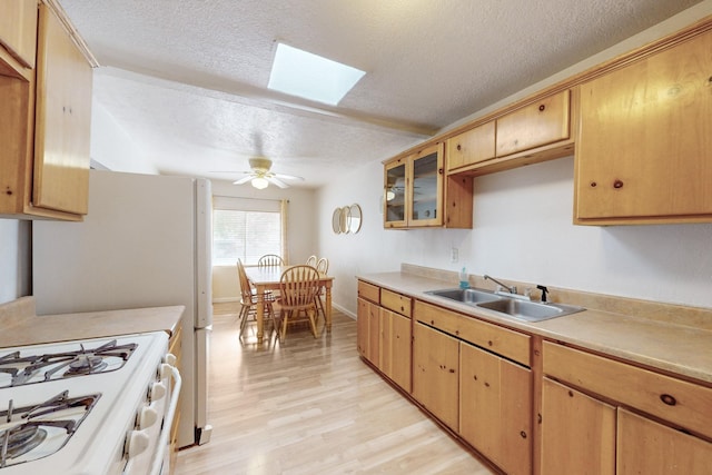 kitchen with a skylight, light wood-style flooring, a sink, a textured ceiling, and ceiling fan