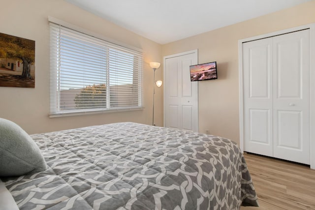 bedroom with wood finished floors and two closets