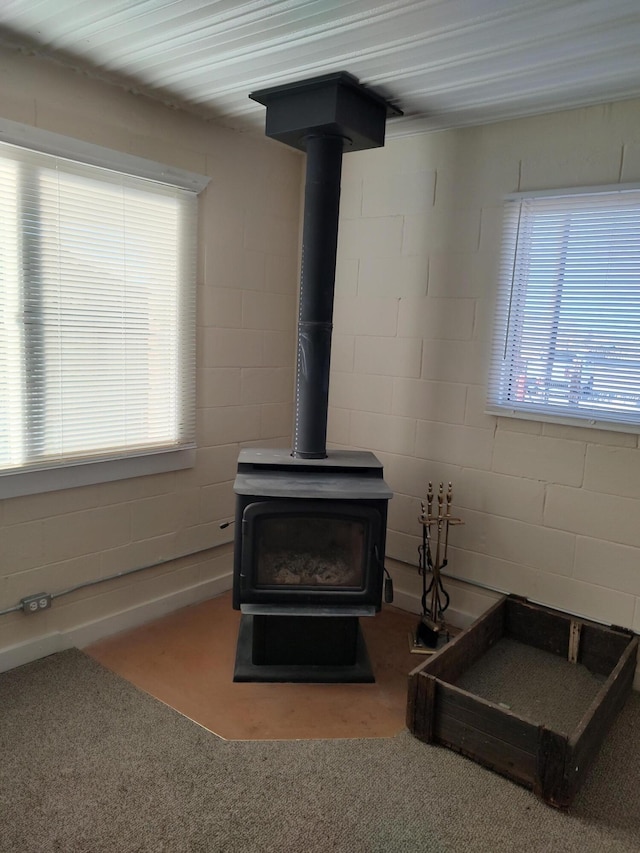 1008 1st St, Magdalena, NM 87825 - photo 12