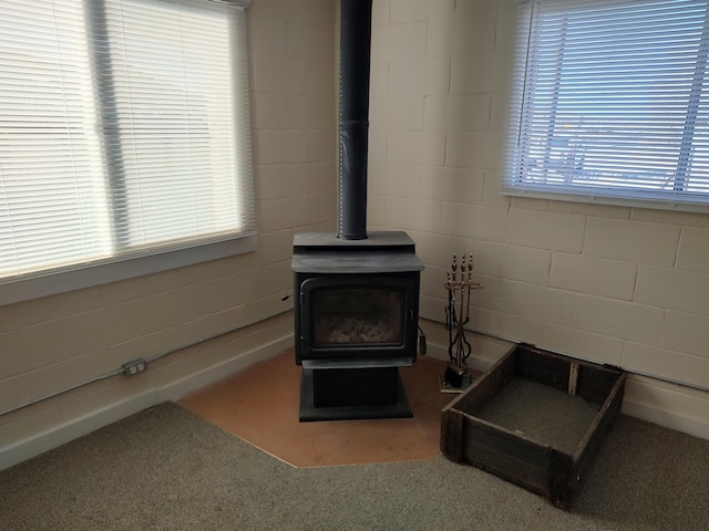 1008 1st St, Magdalena, NM 87825 - photo 11