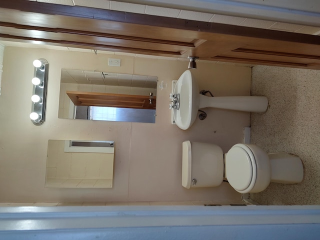 bathroom featuring toilet