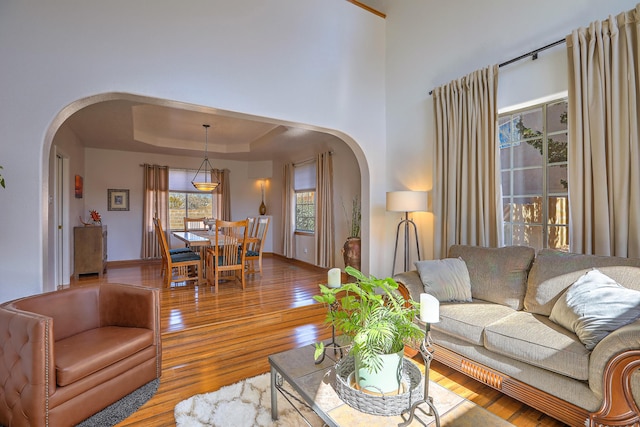 living area with hardwood / wood-style flooring, baseboards, arched walkways, and a raised ceiling