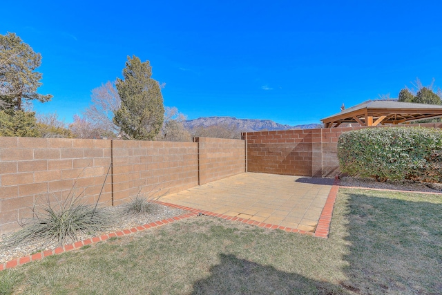 view of yard with a fenced backyard, a patio, and a mountain view