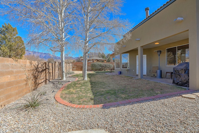 view of yard with a patio area and a fenced backyard