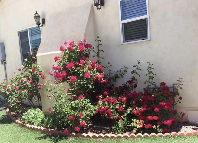 exterior details with stucco siding